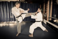 /album/galerie-foto/mae-geri-jpg/